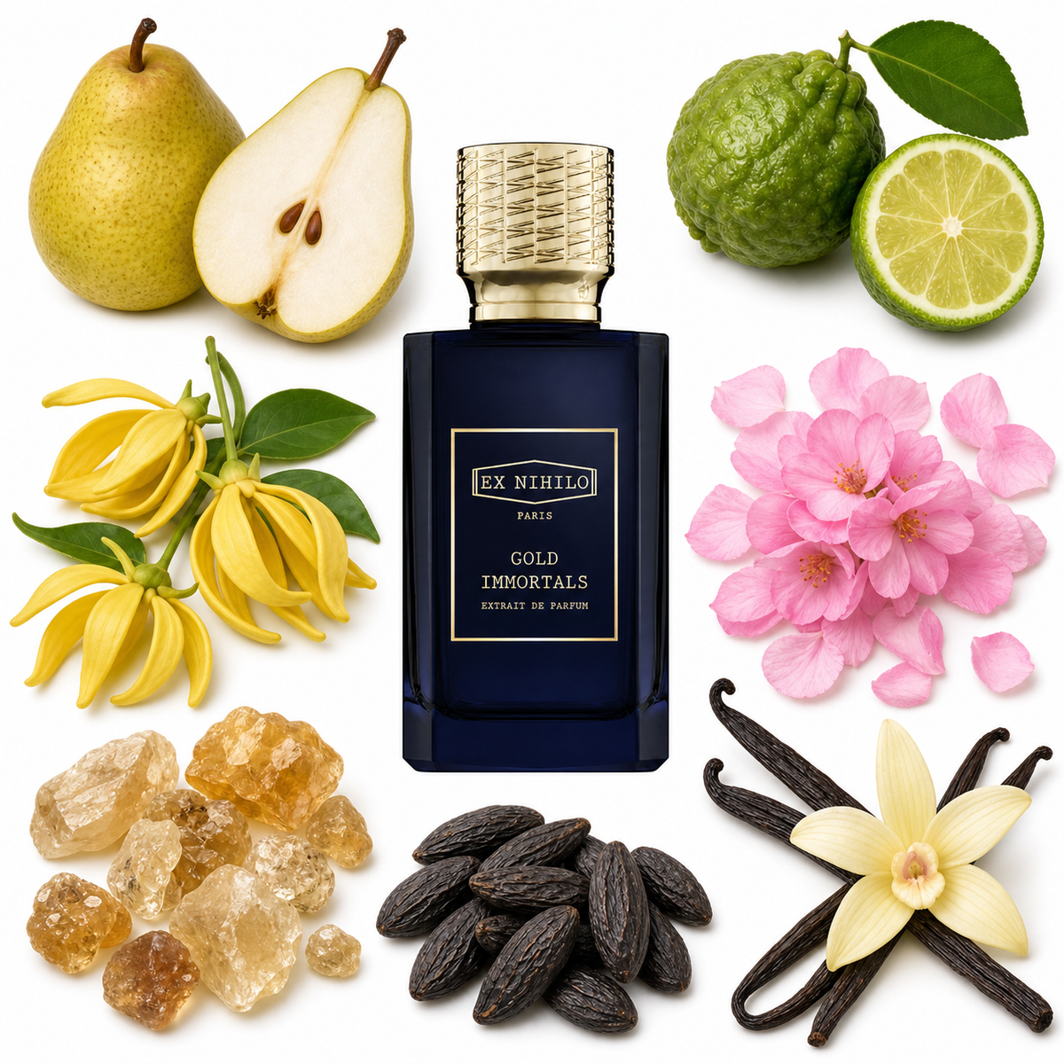 Ex Nihilo GOLD IMMORTALS EXTRAIT DE PARFUM  with scent notes
