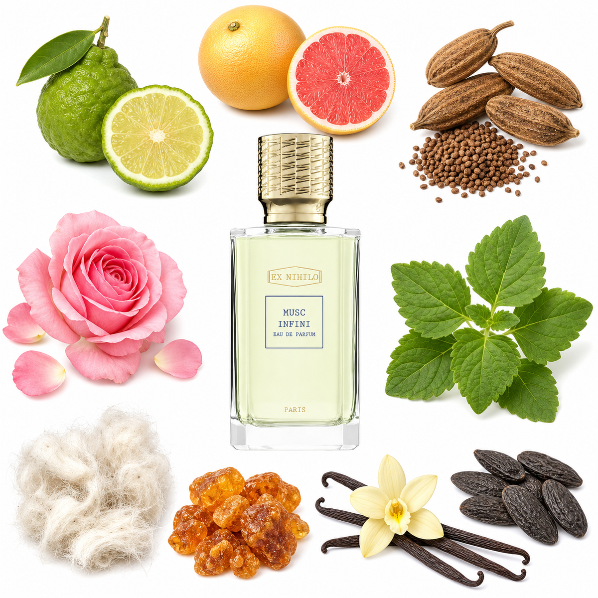 Ex Nihilo MUSC INFINI Eau de Parfum with scent notes