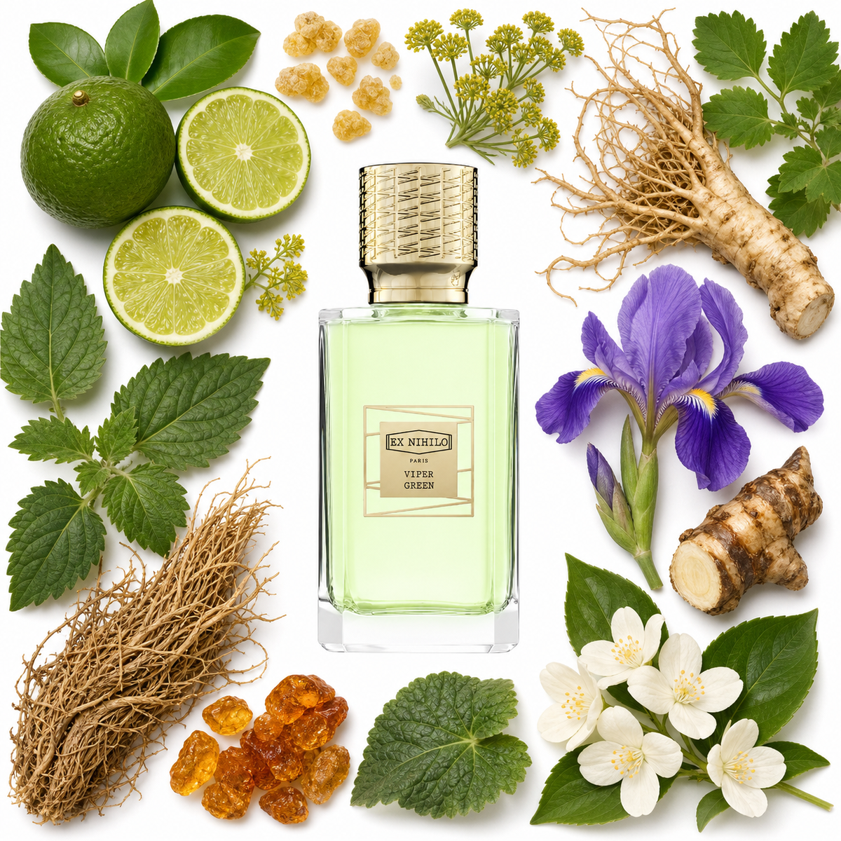 Ex Nihilo VIPER GREEN Eau de Parfum with scent notes