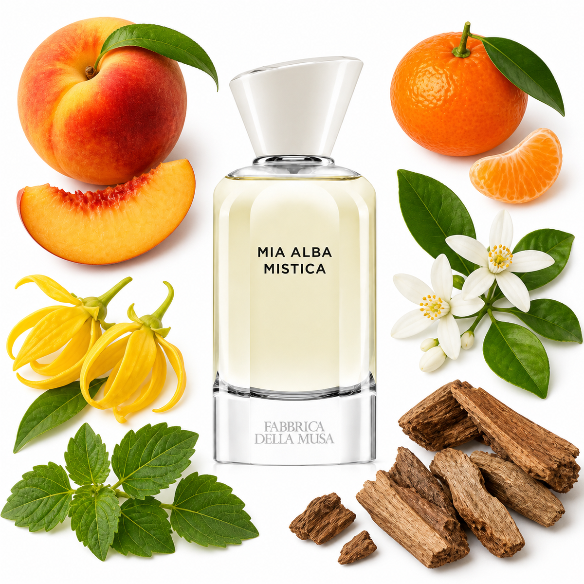 Fabbrica Della Musa Alba Mistica Eau de Parfum with scent notes