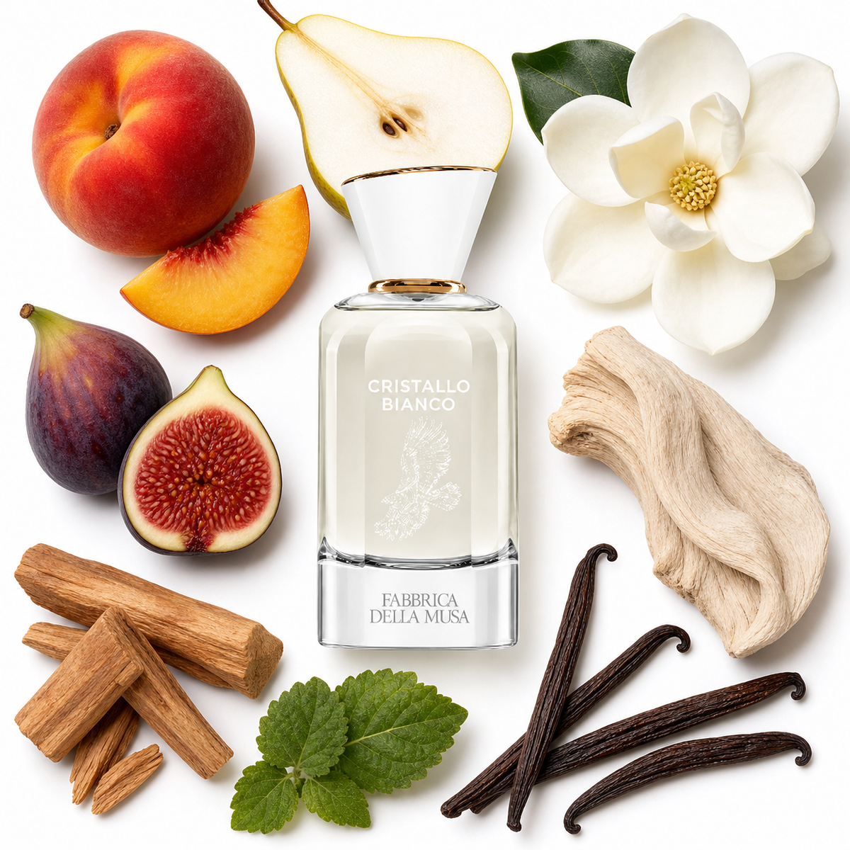 Fabbrica Della Musa Cristallo Bianco Eau de Parfum with scent notes