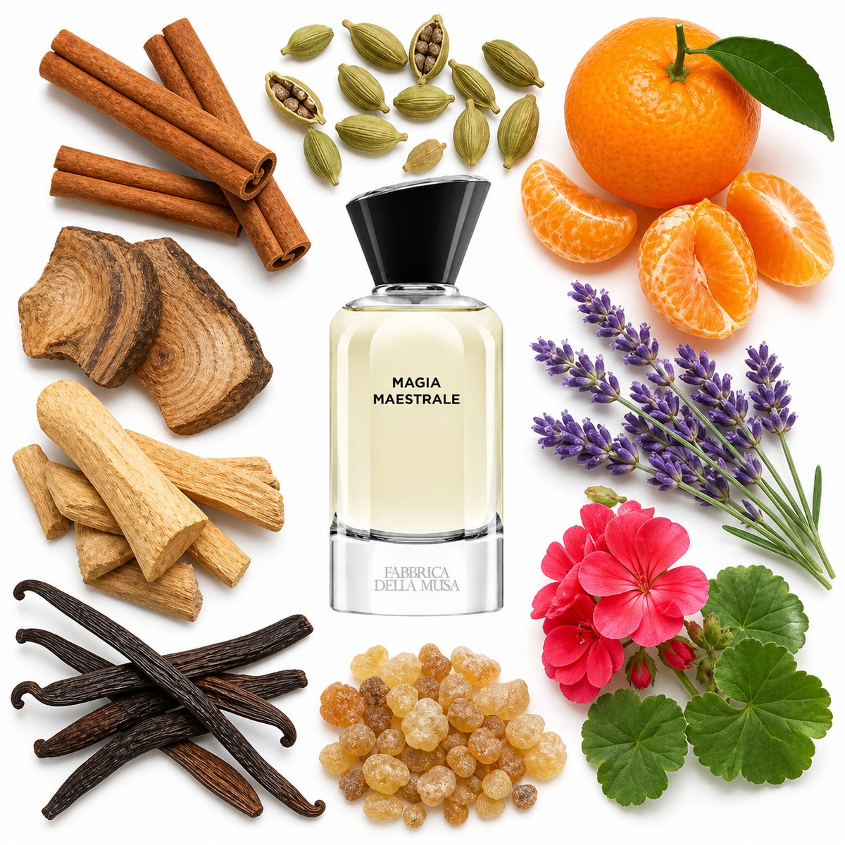 Fabbrica Della Musa Magia Maestrale Eau de Parfum with scent notes