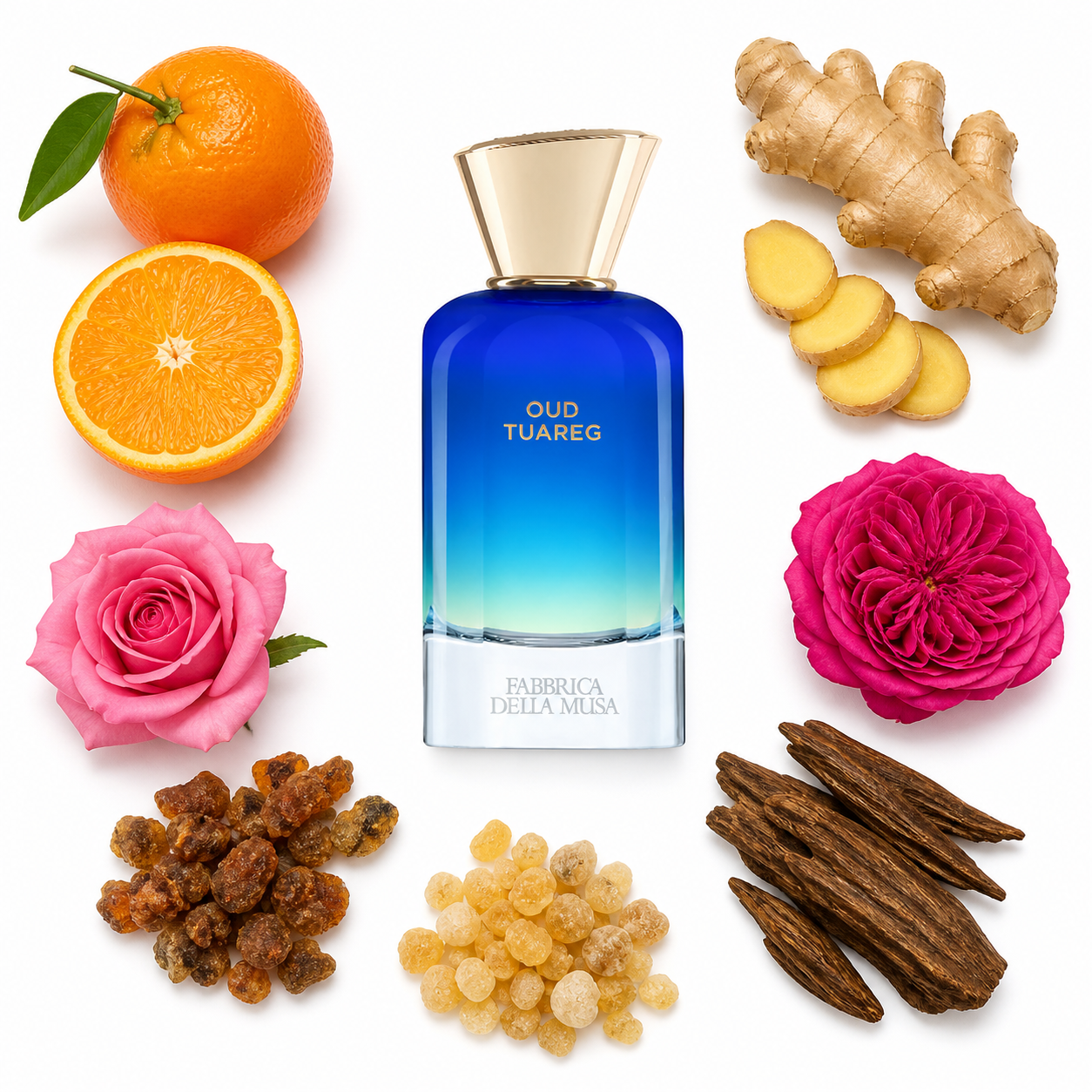 Fabbrica Della Musa Oud Tuareg Extrait de Parfum 100 ml with scent notes