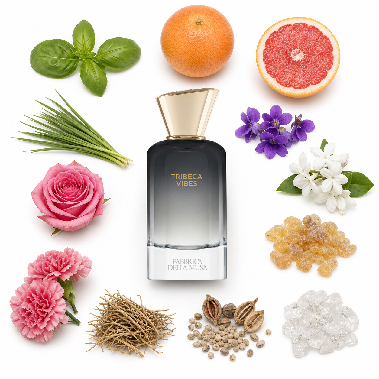 Fabbrica Della Musa Tribeca Vibes Extrait de Parfum 100 ml with scent notes