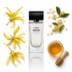100ml