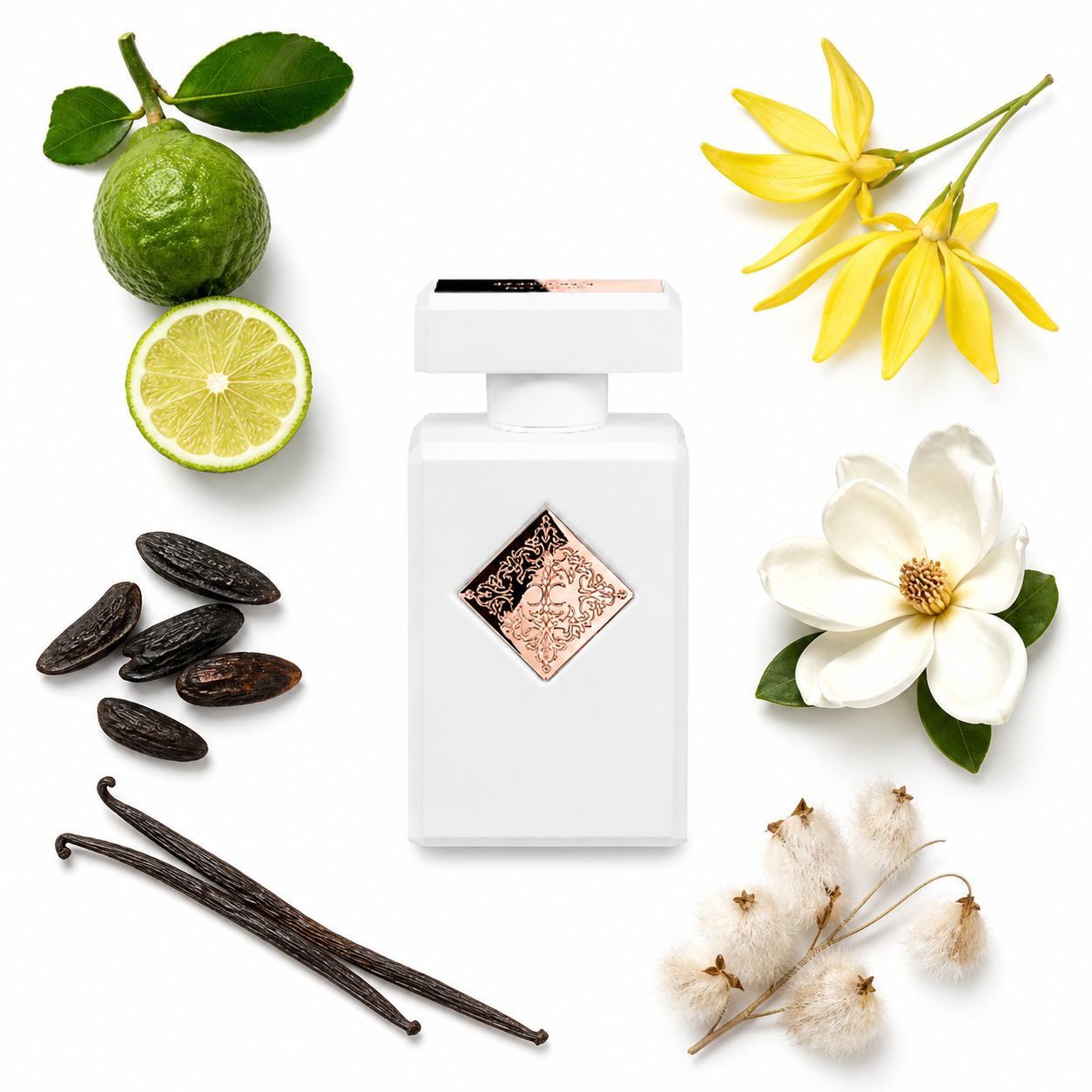 Initio Lift me Up Extrait de Parfum 50 ml with scent notes