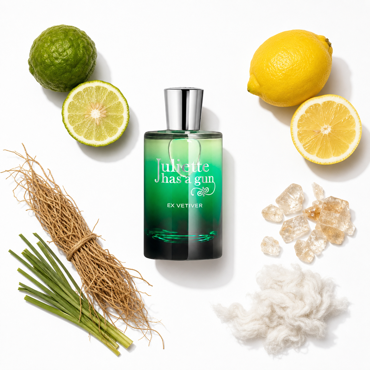 Juliette has a gun Ex Vetiver Eau de Parfum 100 ml with scent notes