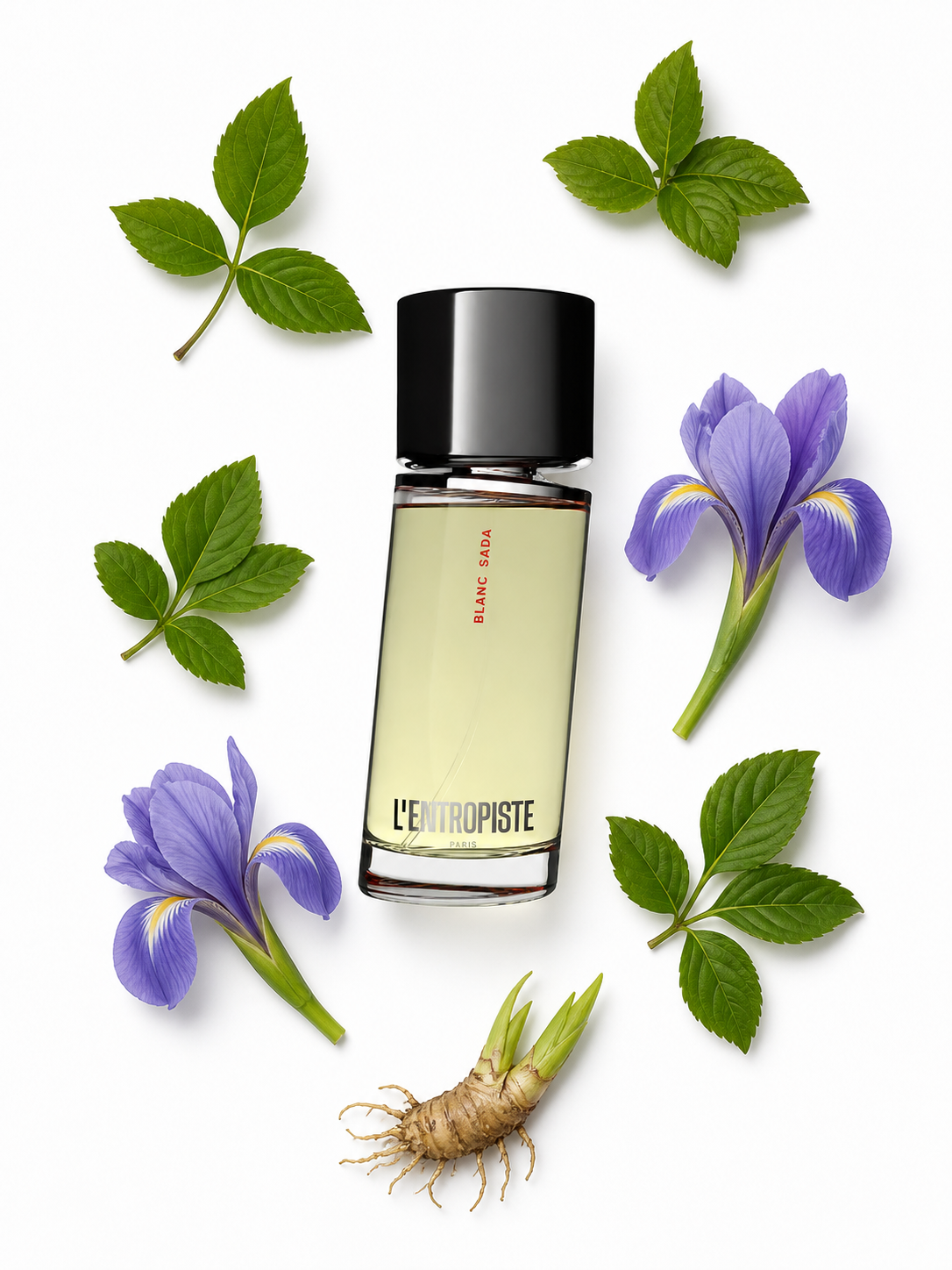 L'Entropiste Blanc Sada Eau de Parfum 100 ml with scent notes