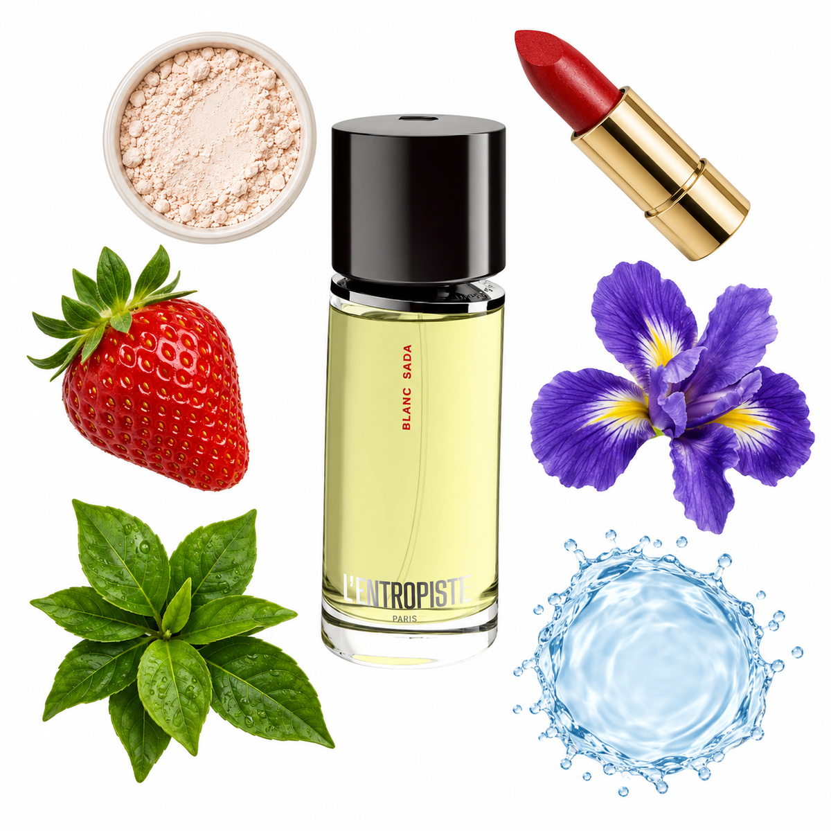 L'Entropiste Blanc Sada Eau de Parfum with scent notes