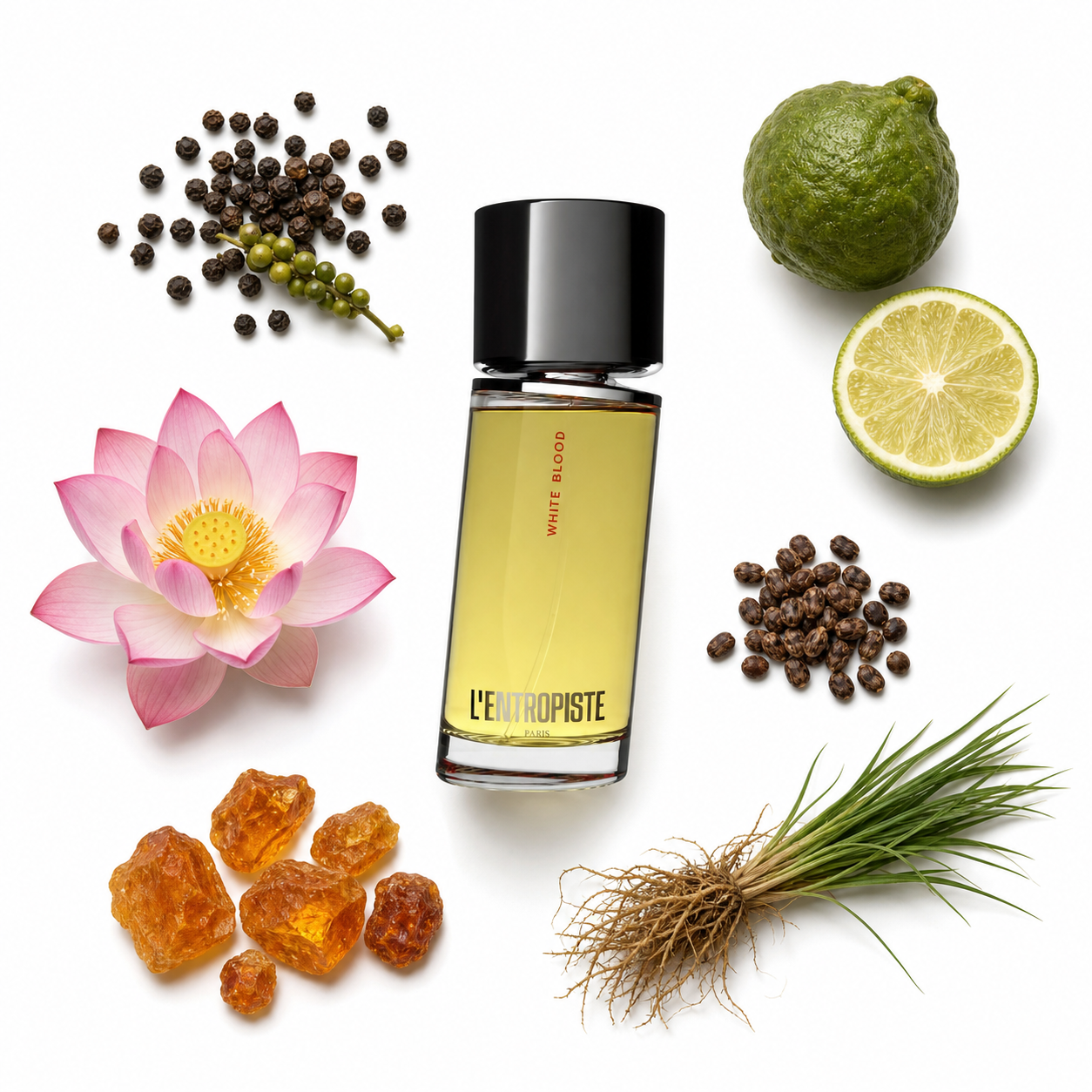 L'Entropiste White Blood Eau de Parfum 100 ml with scent notes