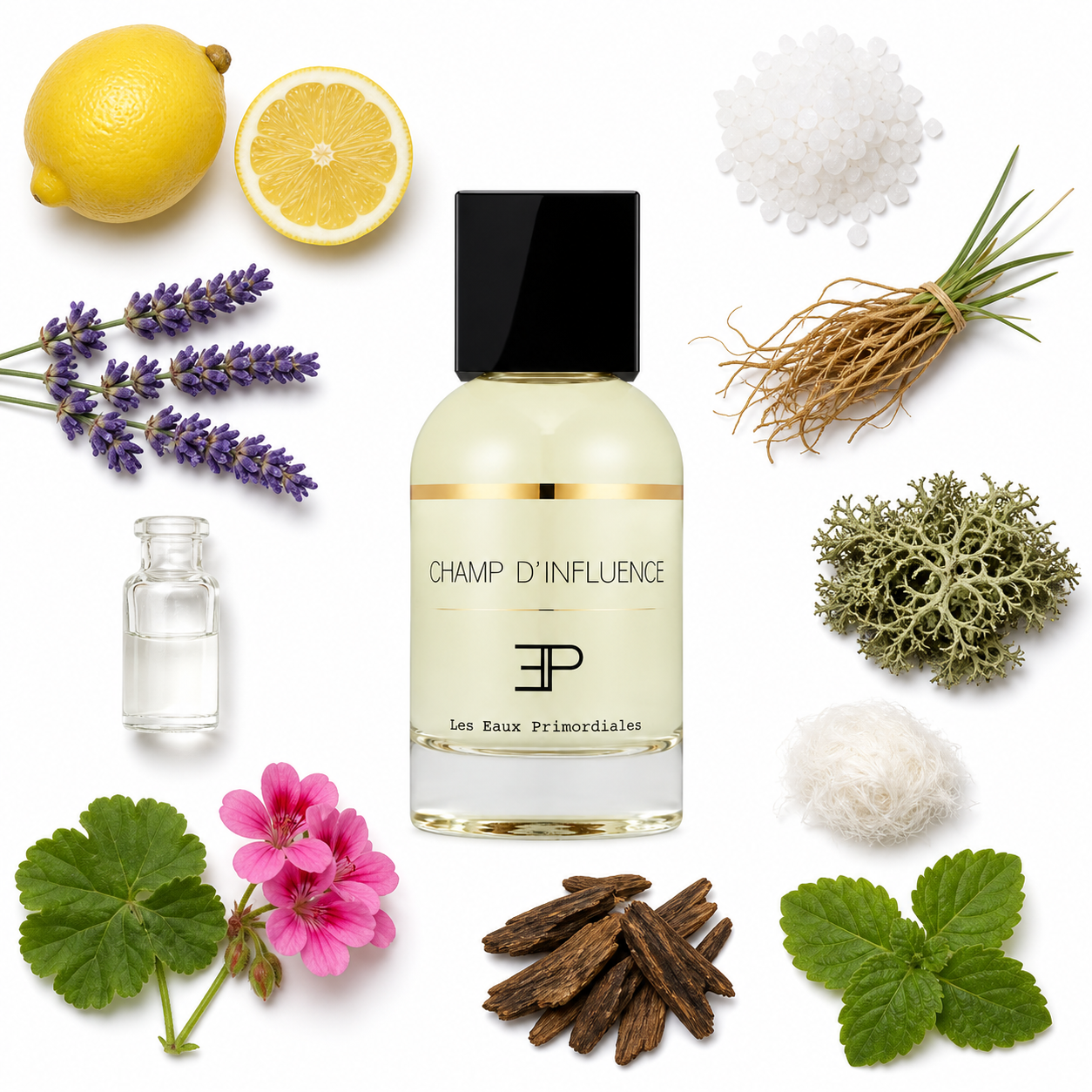 Les Eaux Primordiales Champ D'Influence Eau de Parfum 100 ml with scent notes