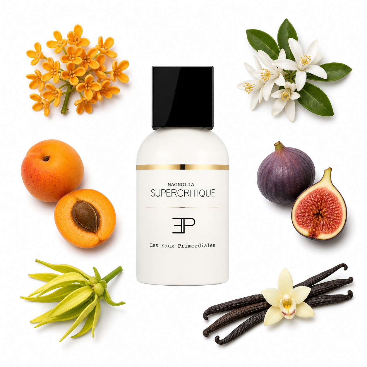 Les Eaux Primordiales Supercritique Magnolia Eau de Parfum 100 ml with scent notes