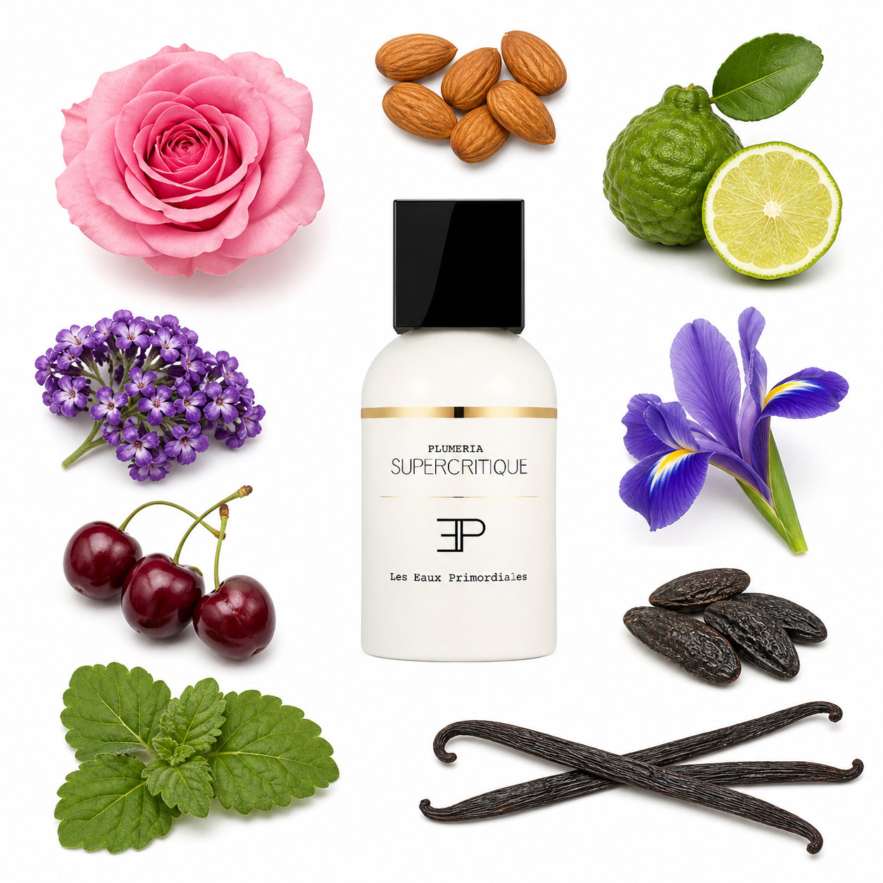 Les Eaux Primordiales Supercritique Pluméria Eau de Parfum 100 ml with scent notes
