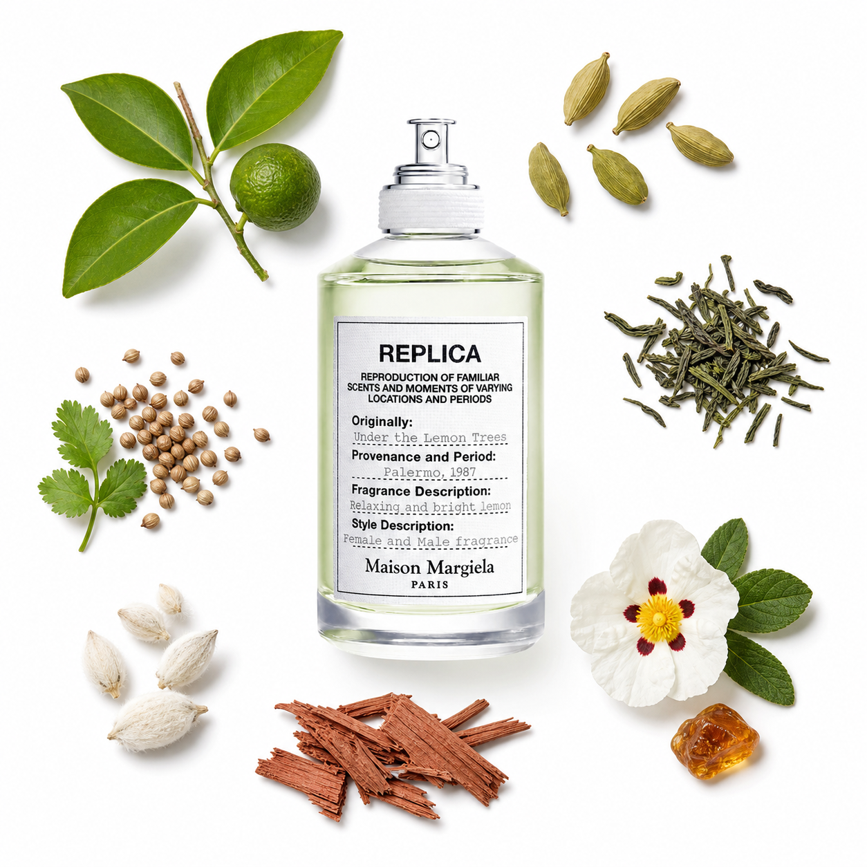 Maison Margiela Replica Under Lemon Trees Eau de Toilette 100 ml with scent notes