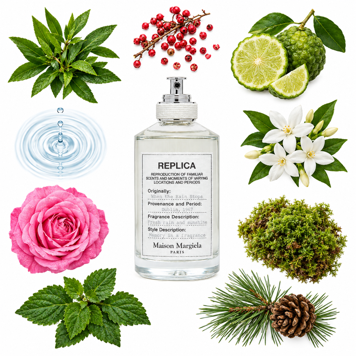Maison Margiela Replica When the Rain Stops Eau de Toilette with scent notes