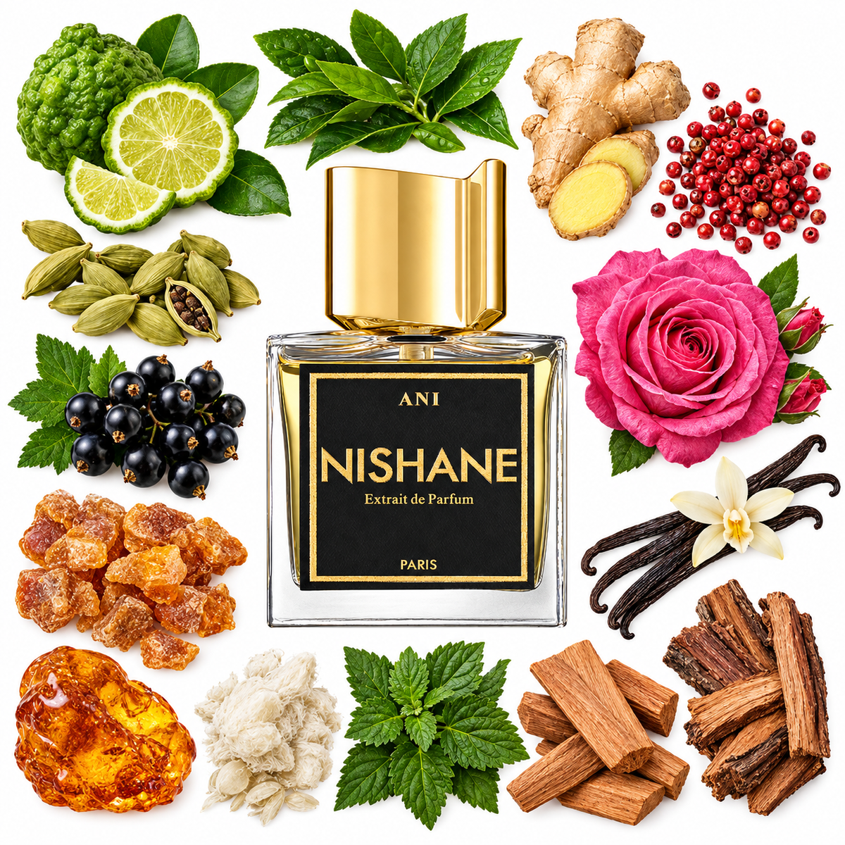 NISHANE ANI Extrait de Parfum with scent notes