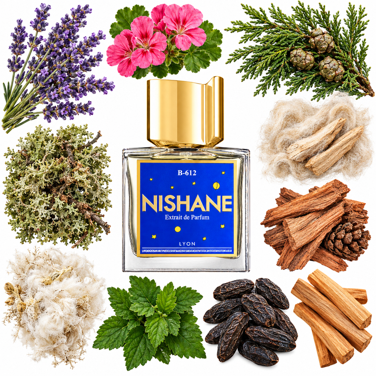 NISHANE B-612 Extrait de Parfum with scent notes