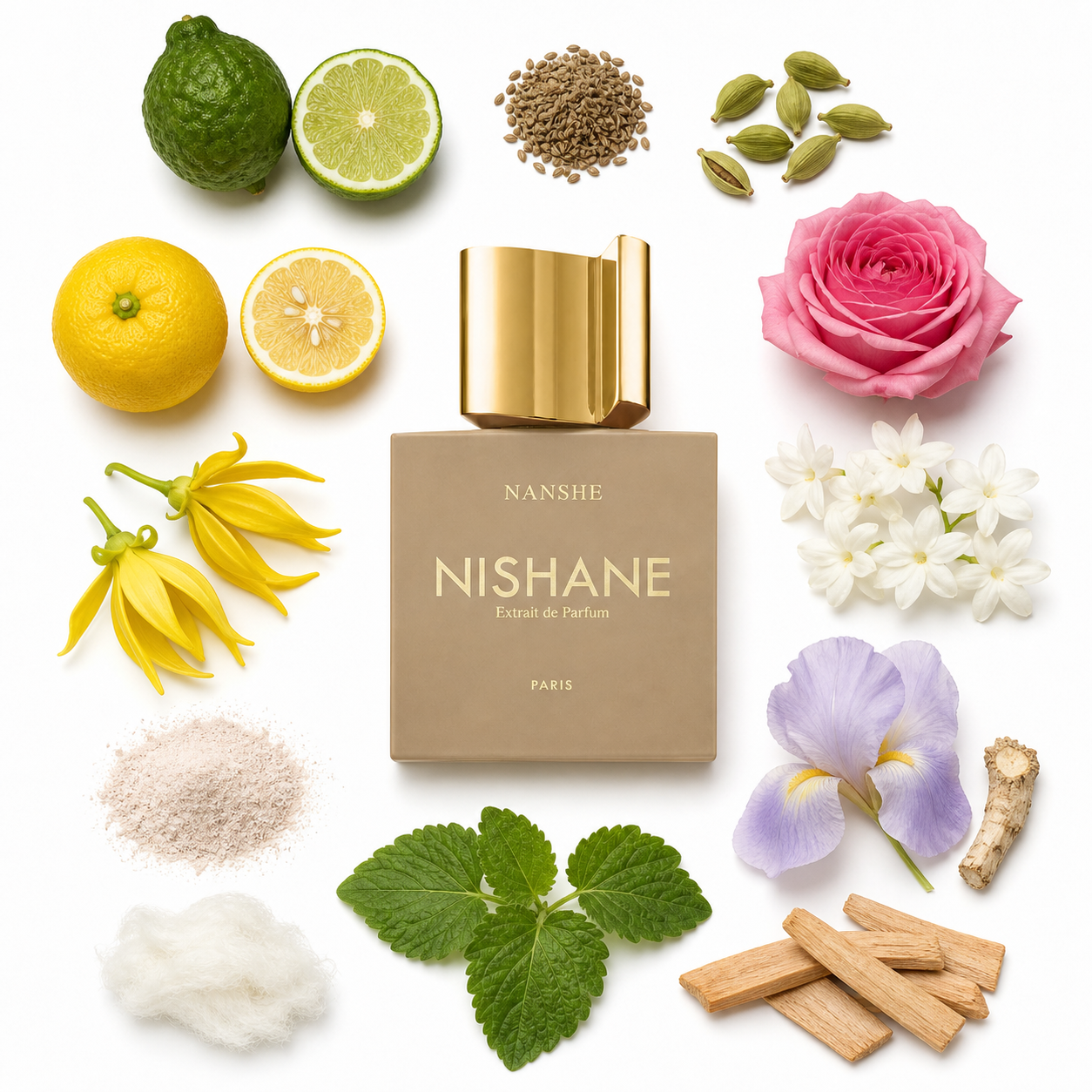 NISHANE NANSHE Extrait de Parfum 50 ml with scent notes