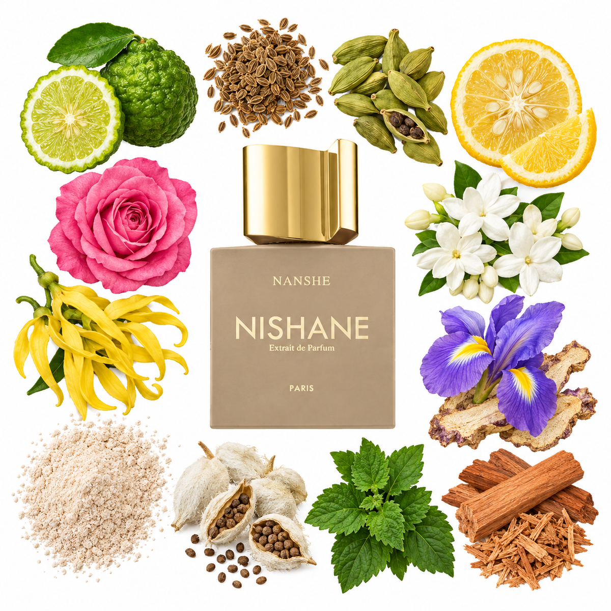 NISHANE NANSHE Extrait de Parfum with scent notes