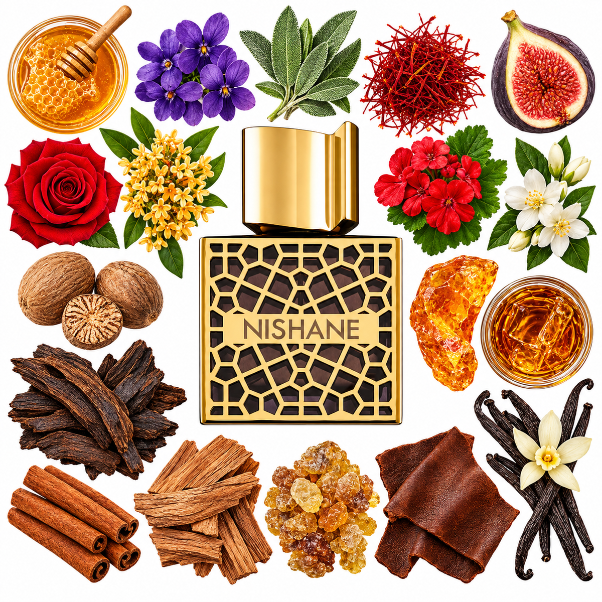 NISHANE NEFS Extrait de Parfum with scent notes