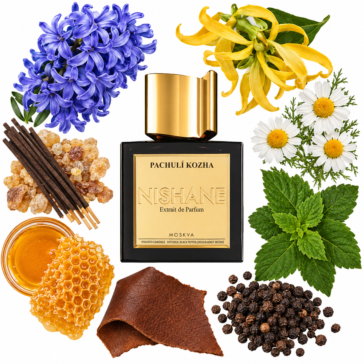 NISHANE Pachulí Kozha Extrait de Parfum with scent notes