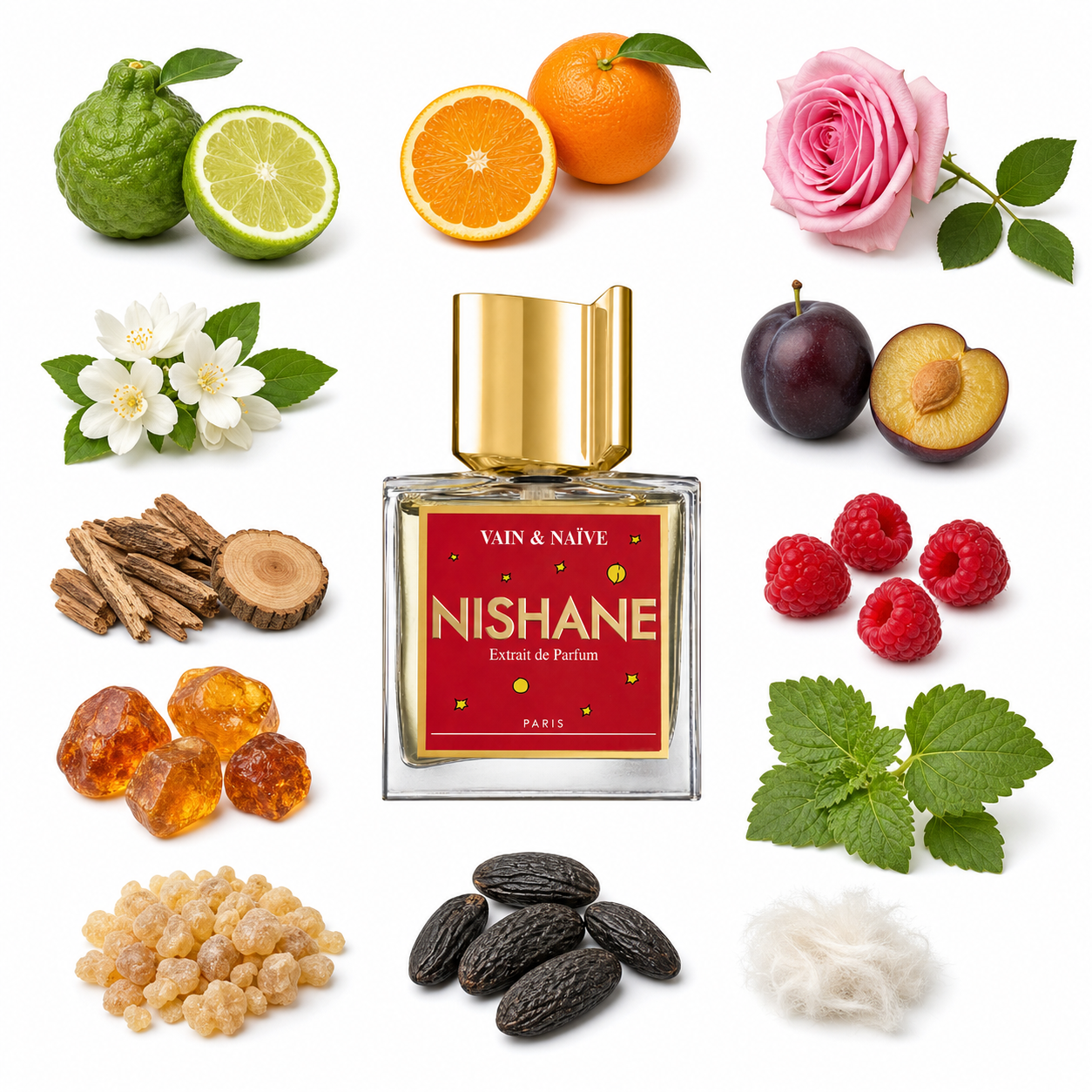 NISHANE Vain & Naive Extrait de Parfum 50 ml with scent notes