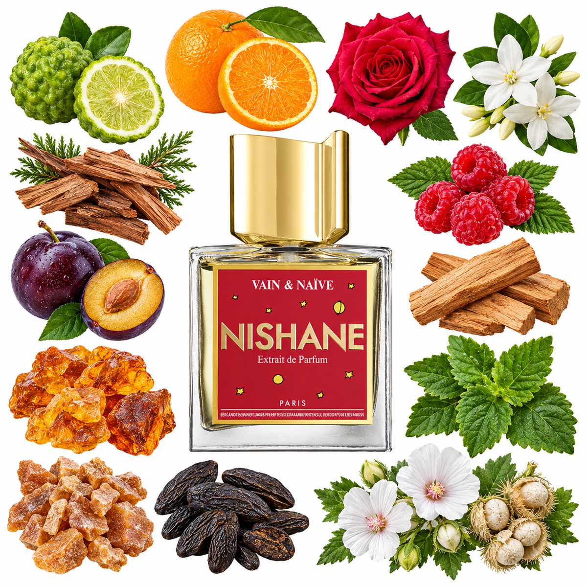 NISHANE Vain & Naive Extrait de Parfum with scent notes