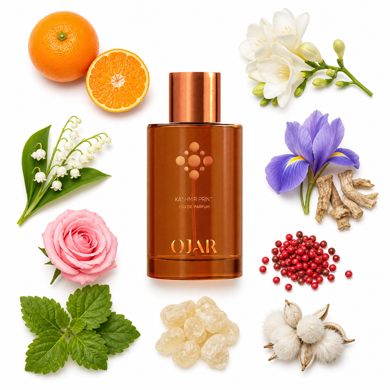 OJAR Kashmir Print Eau de Parfum 100 ml with scent notes