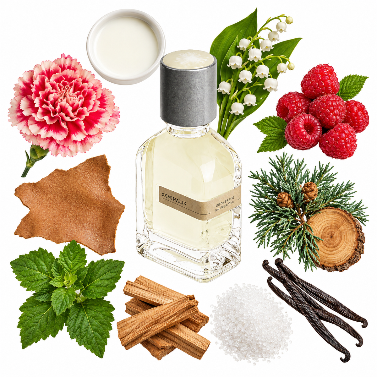 Orto Parisi Seminalis Eau de Parfum with scent notes