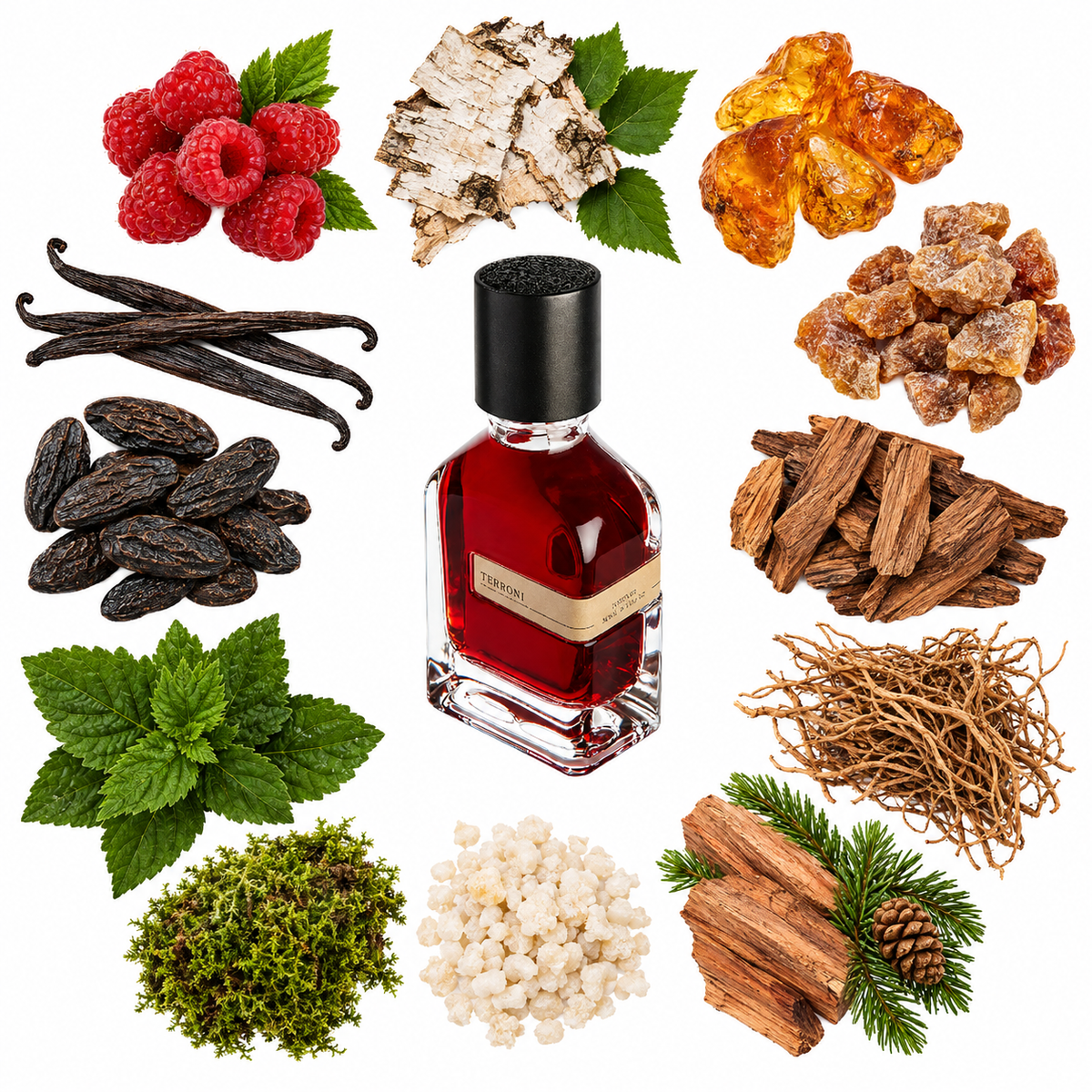 Orto Parisi Terroni Eau de Parfum with scent notes
