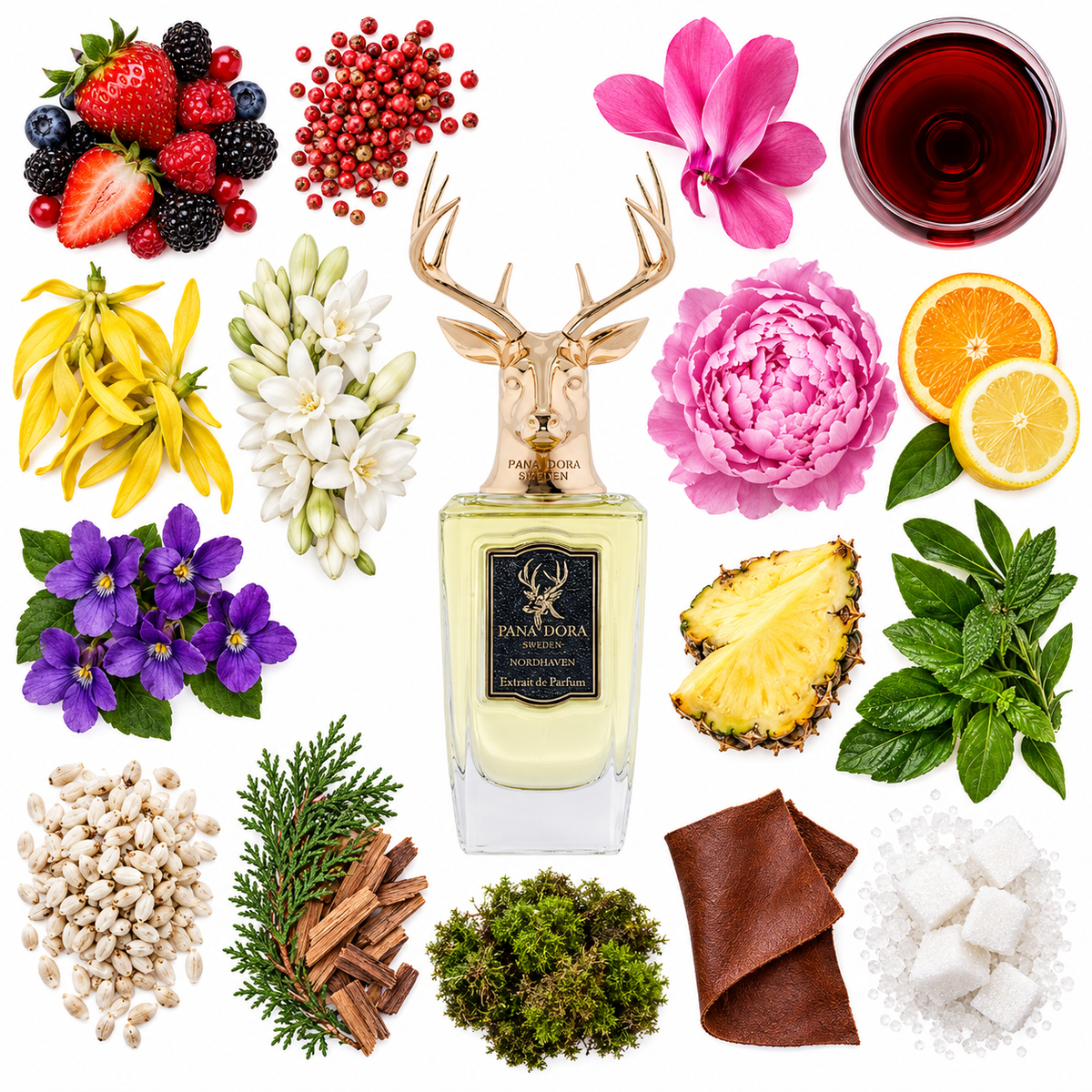 Pana Dora Nordhaven Eau de Parfum with scent notes