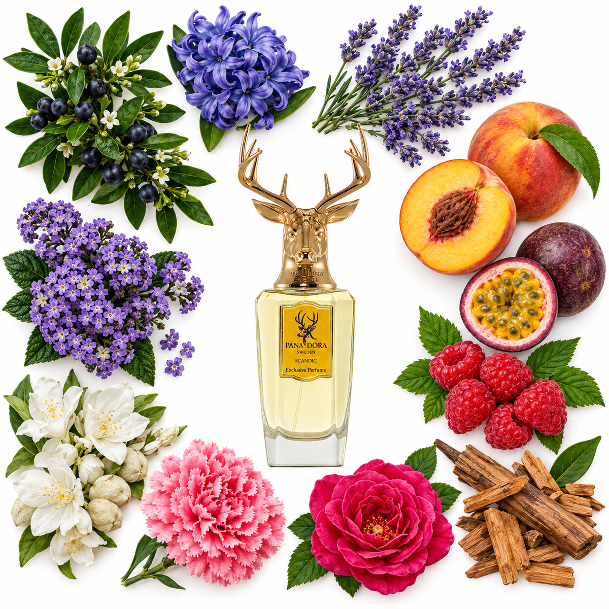 Pana Dora Scandic Eau de Parfum with scent notes