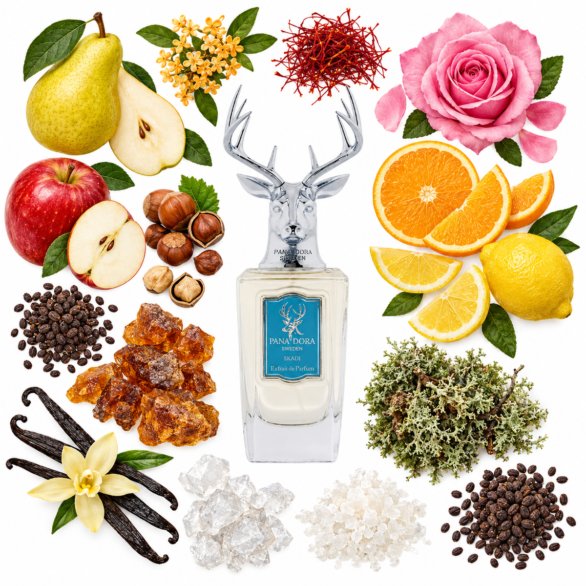 Pana Dora Skadi Eau de Parfum with scent notes