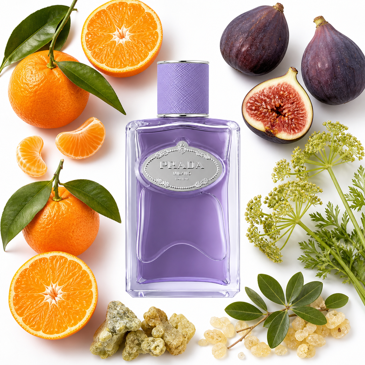 Prada Infusion de Figue Eau de Parfum with scent notes