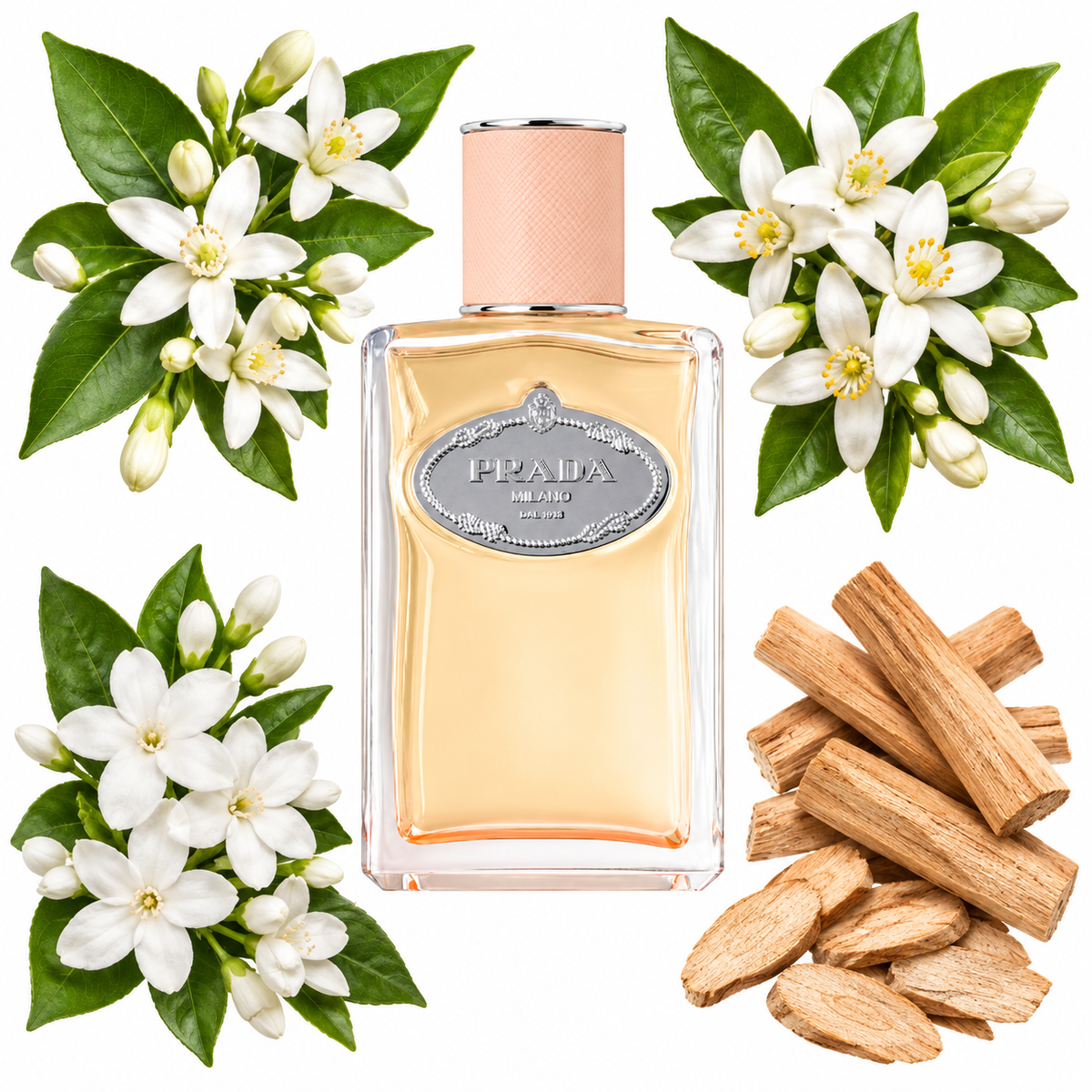 Prada Infusion de Fleur D'Oranger Eau de Parfum with scent notes