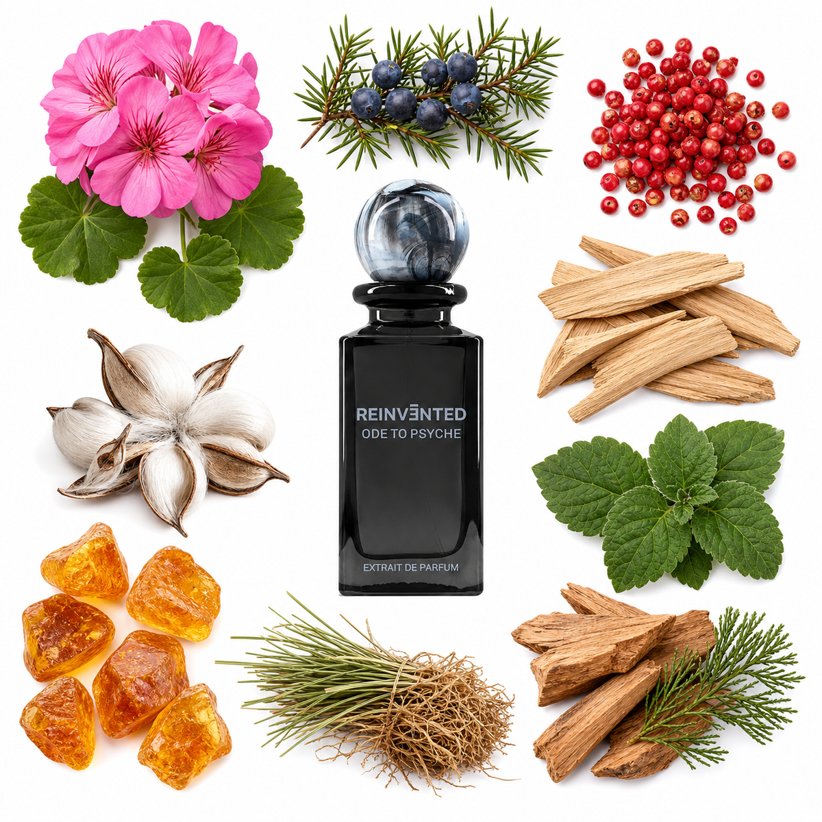 Reinvented ODE TO PSYCHE LIMITED EDITION Extrait de Parfum with scent notes