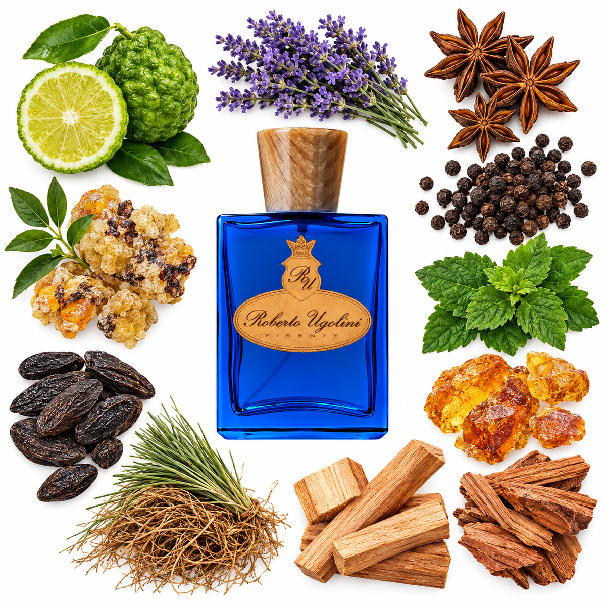 Roberto Ugolini Blue Suede Shoes Eau de Parfum with scent notes