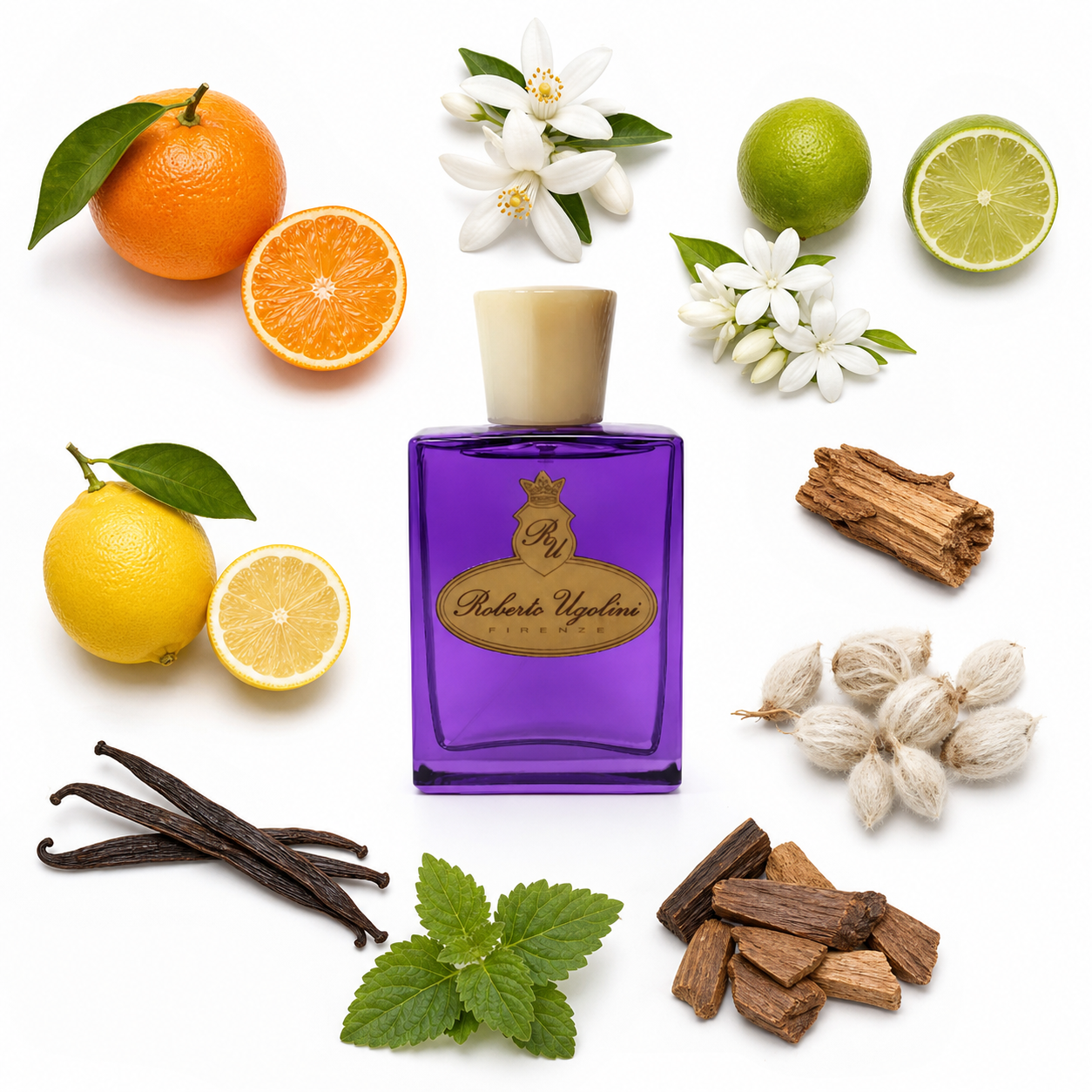 Roberto Ugolini Marzocco Eau de Parfum 100 ml with scent notes