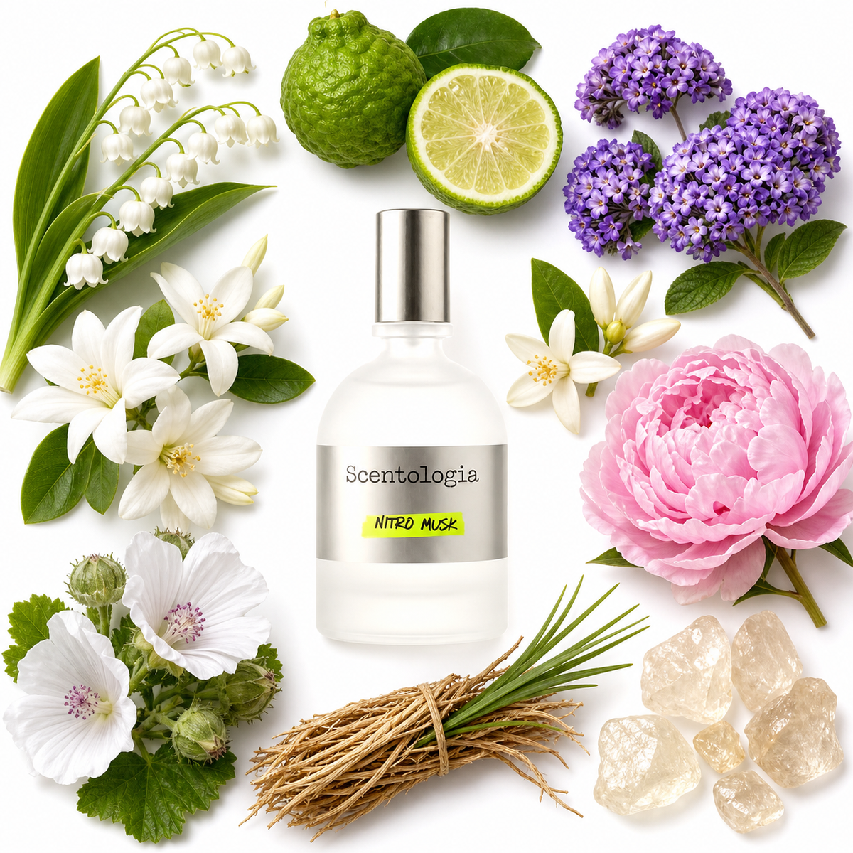 Scentologia Nitro Musk Eau de Parfum with scent notes
