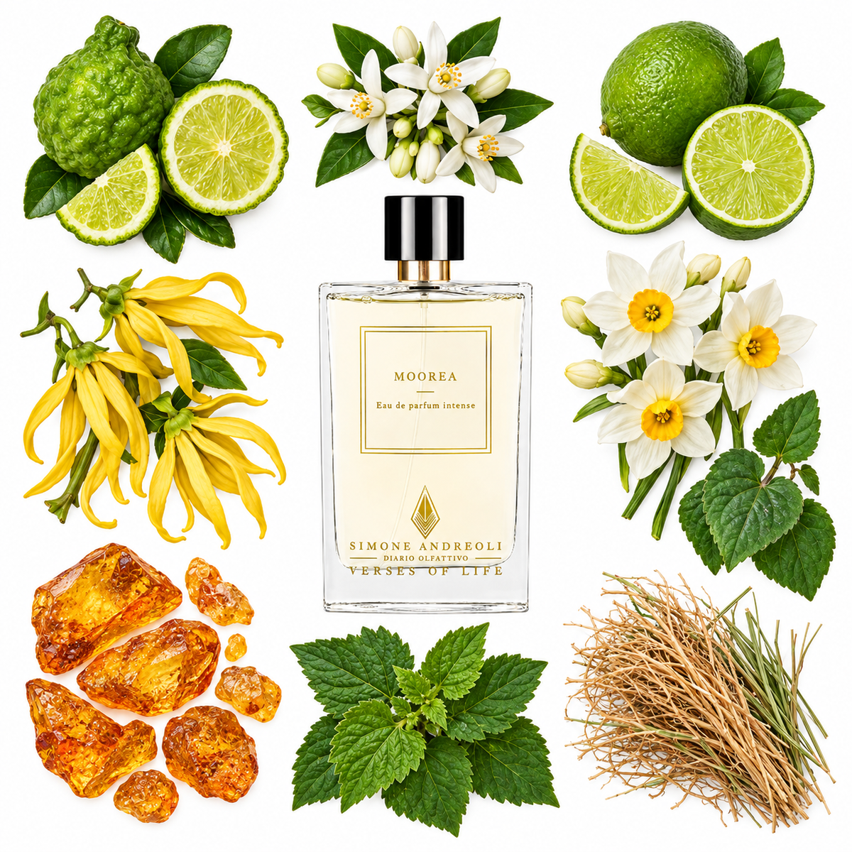 Simone Andreoli Moorea Eau de Parfum with scent notes