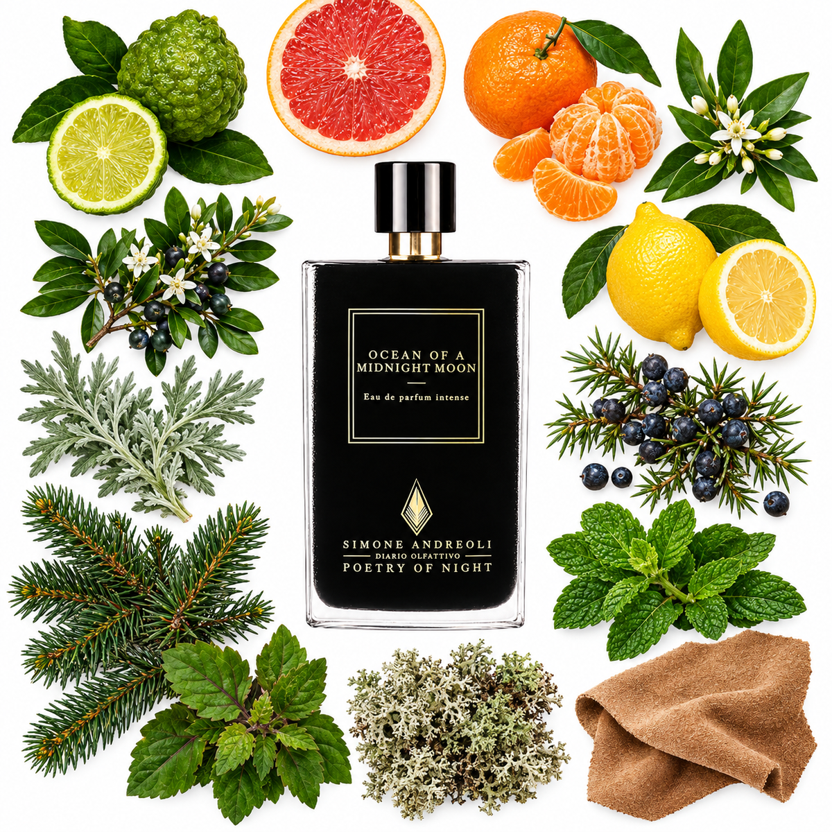 Simone Andreoli Ocean of a Midnight Moon Eau de Parfum with scent notes