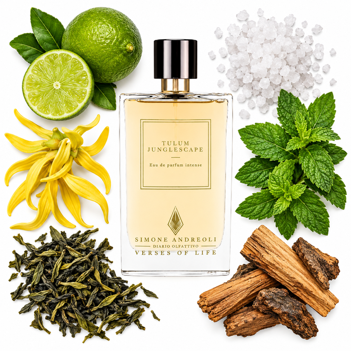 Simone Andreoli Tulum Junglescape Eau de Parfum with scent notes