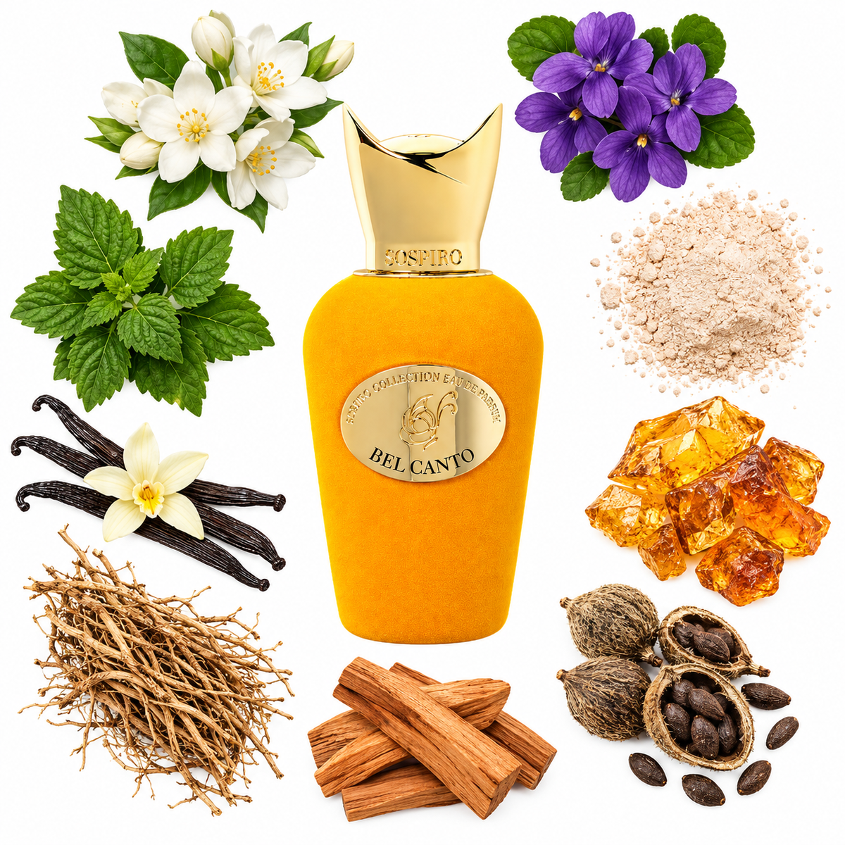 Sospiro Bel Canto Eau de Parfum with scent notes