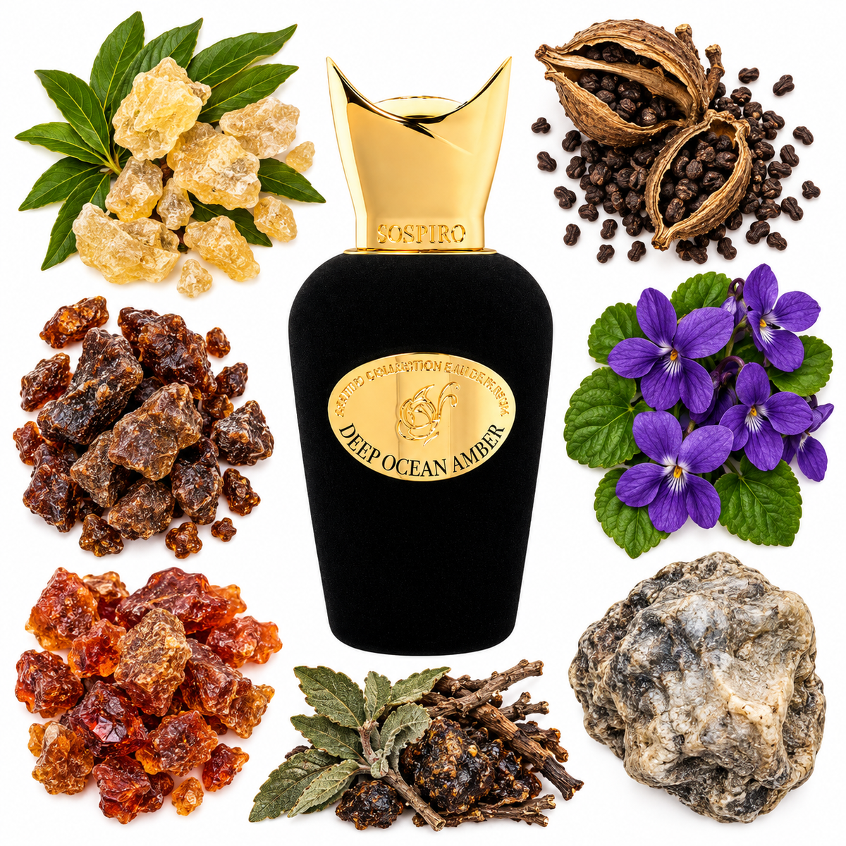 Sospiro Deep Ocean Amber Eau de Parfum with scent notes