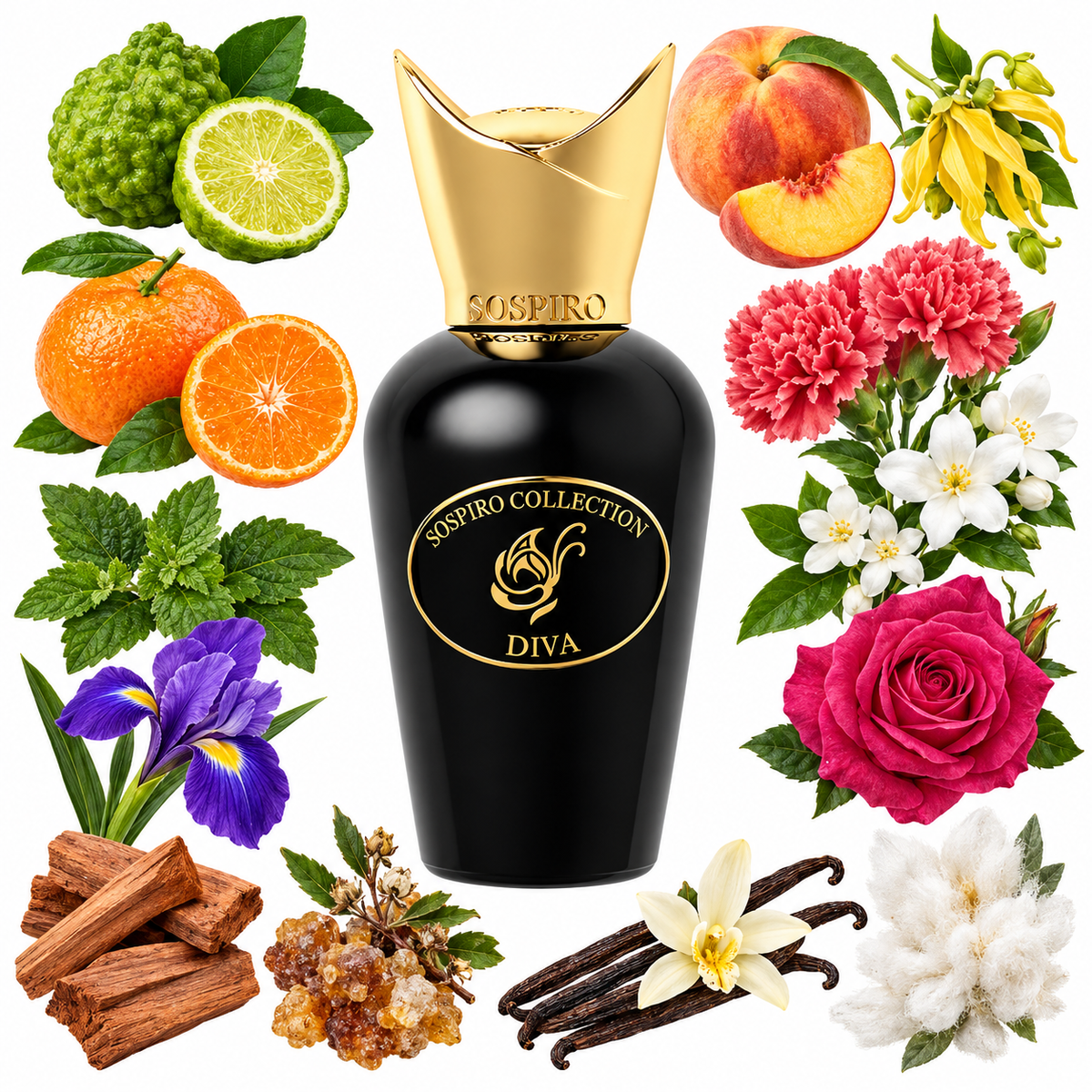 Sospiro Diva Eau de Parfum with scent notes