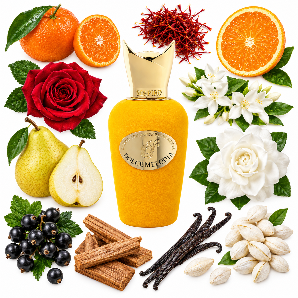 Sospiro Dolce Melodia Eau de Parfum with scent notes