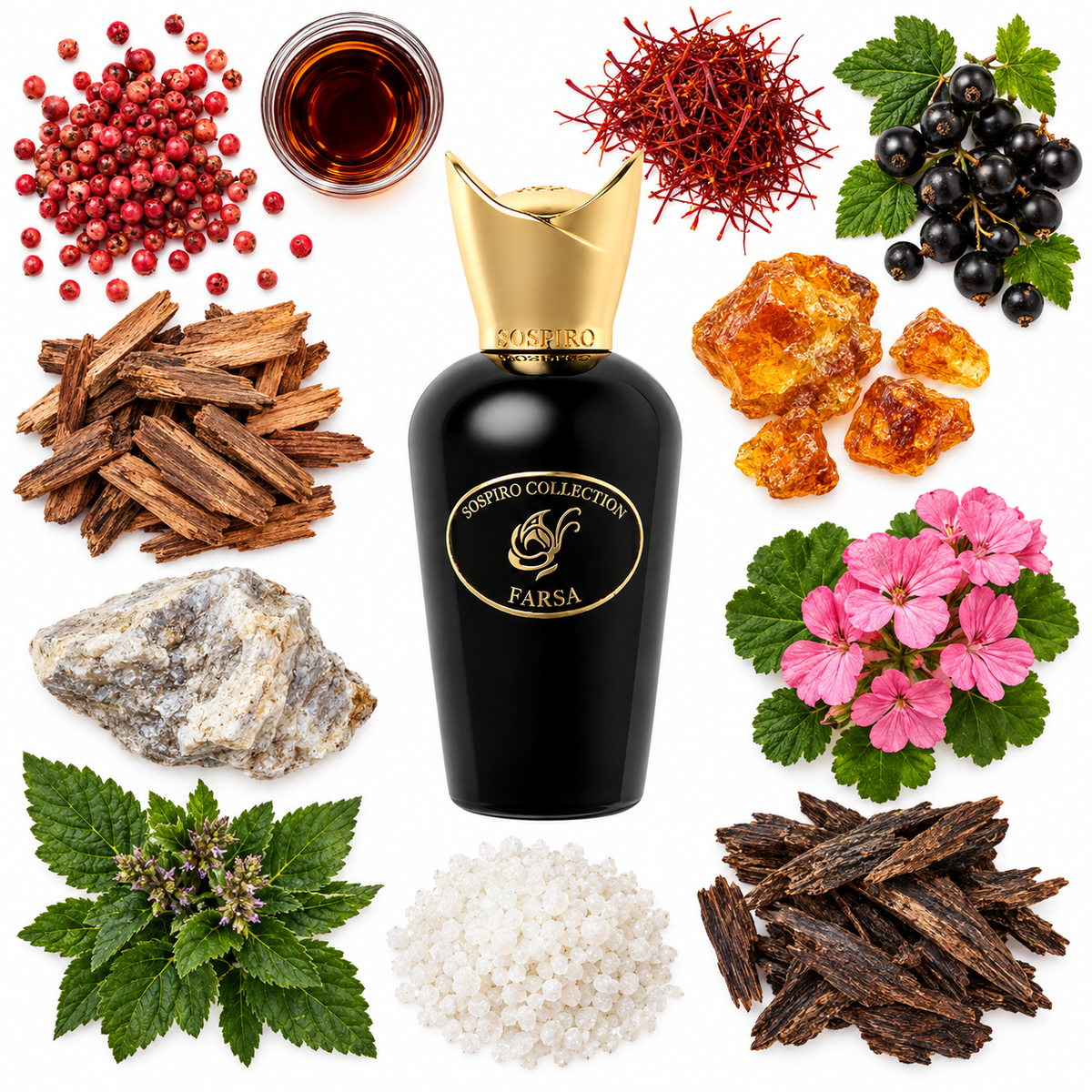 Sospiro Farsa Eau de Parfum with scent notes