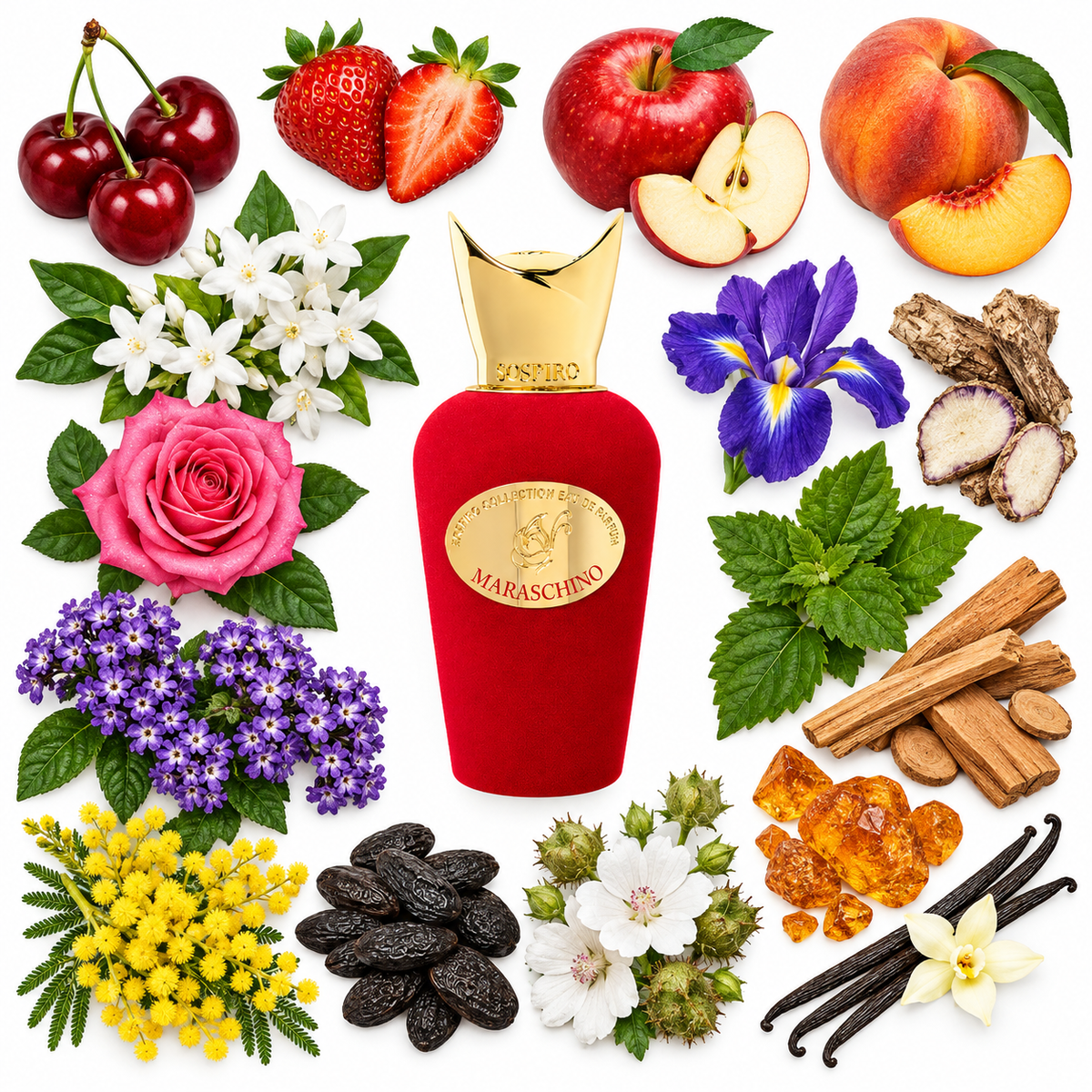 Sospiro Maraschino Eau de Parfum with scent notes