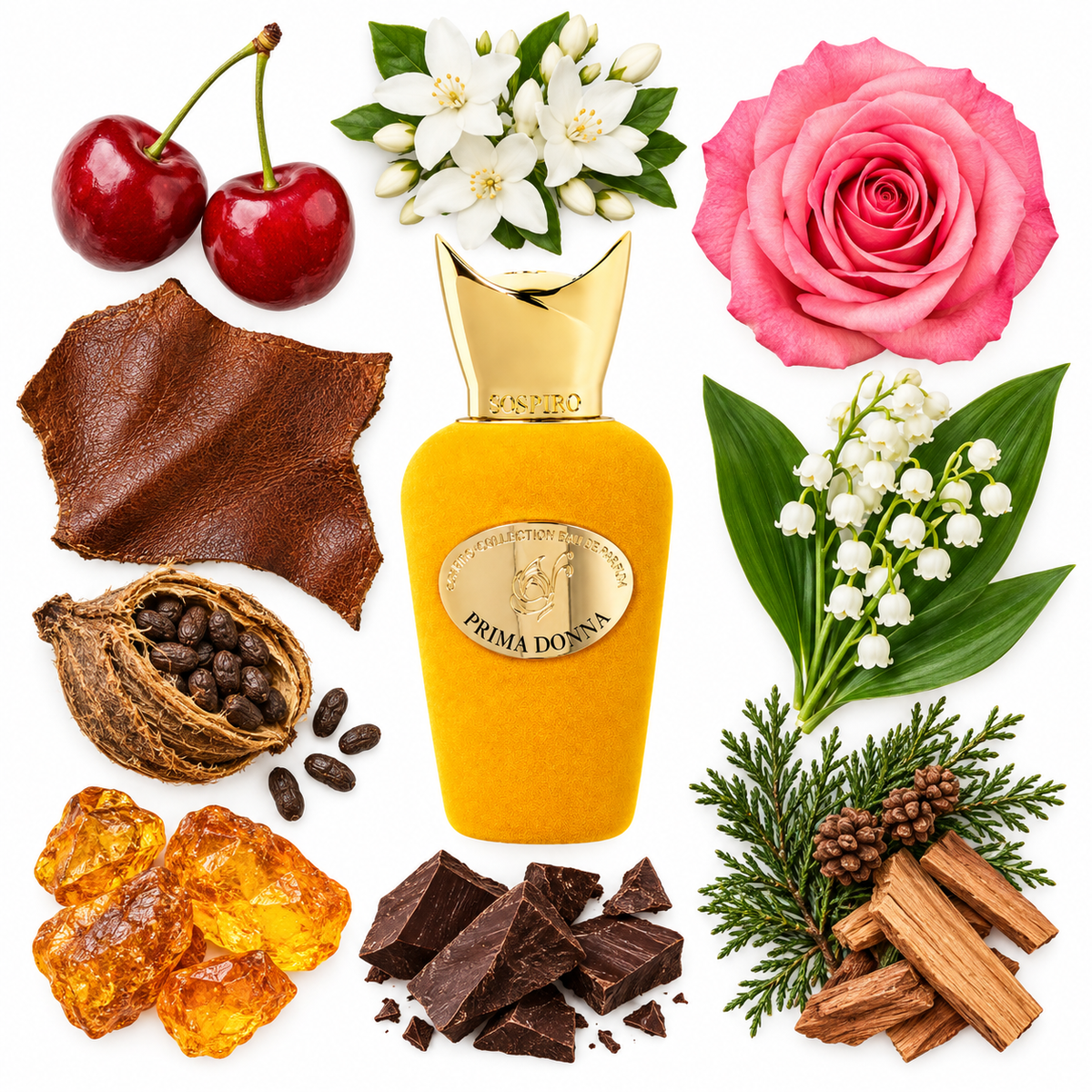 Sospiro Prima Donna Eau de Parfum with scent notes