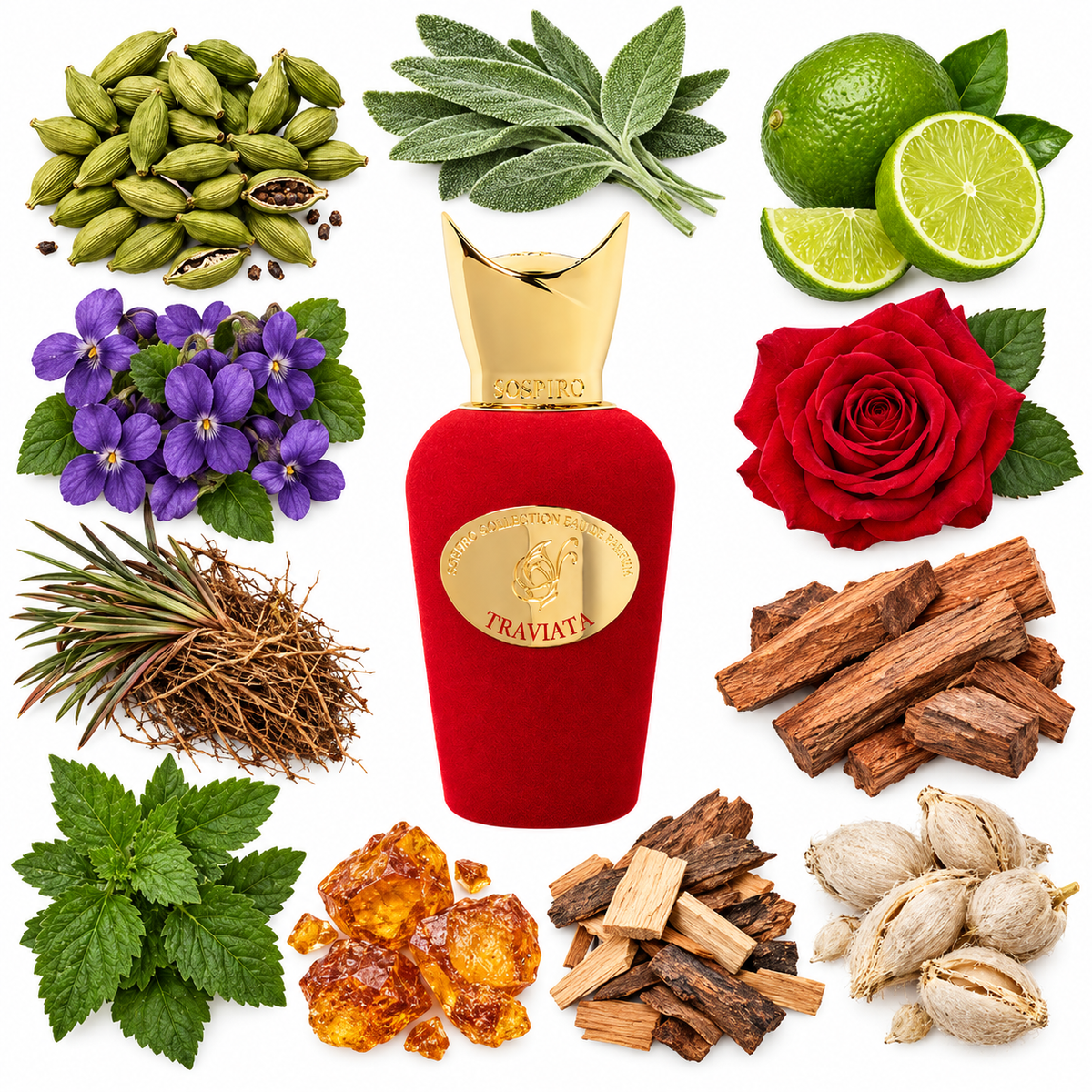 Sospiro Traviata Eau de Parfum with scent notes